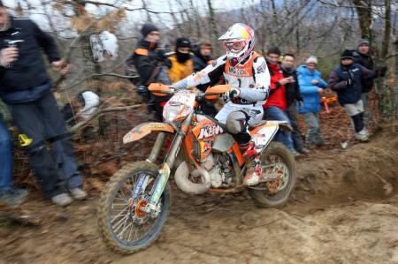 41295_taddy_blazusiak_1024