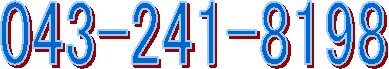 043-241-8198